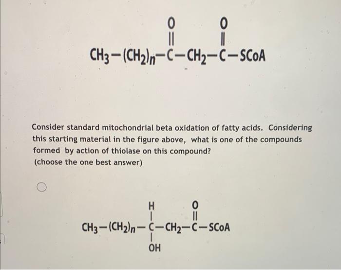 0 Ch3 Ch N C Ch2 C Scoa 0 0 Consider Standard Mitochondrial Beta Oxidation Of Fatty Acids Considering This 1