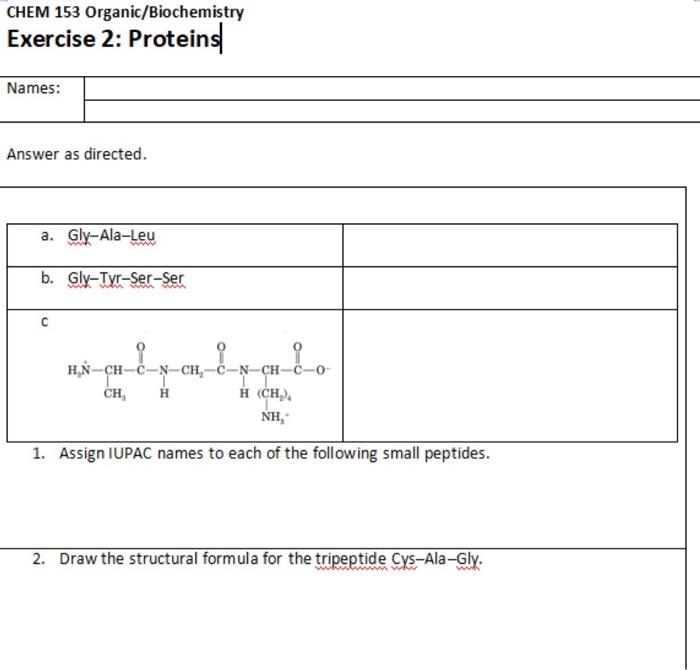 Chem 153 Organic Biochemistry Exercise 2 Proteins Names Answer As Directed A Gly Ala Leu Ma C B Gly Tyr Ser Ser Www 1