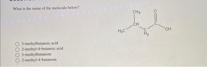 What Is The Name Of The Molecule Below 3 Methylbutanoic Acid 2 Methyl 4 Butanoic Acid 3 Methylbutanone 2 Methyl 4 Buta 1