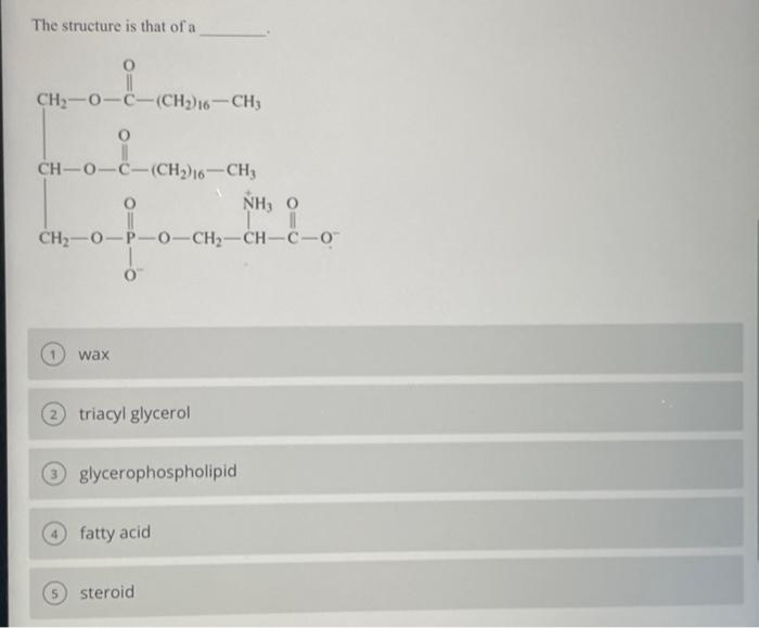 The Structure Is That Of A 0 Ch 0 Cch2 Ch3 Ch 0 C Ch2 Ch3 O Wax Ch O P 0 Ch Ch C 0 O Triacyl Glycerol Glycerophosp 1