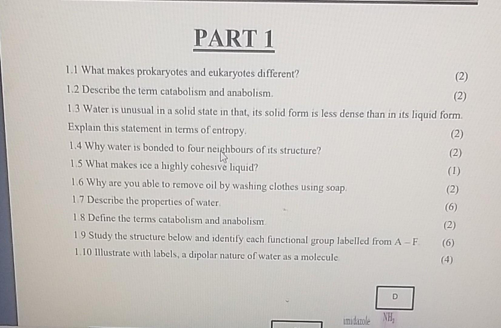 Part 1 1 1 What Makes Prokaryotes And Eukaryotes Different 2 1 2 Describe The Term Catabolism And Anabolism 2 1 3 1