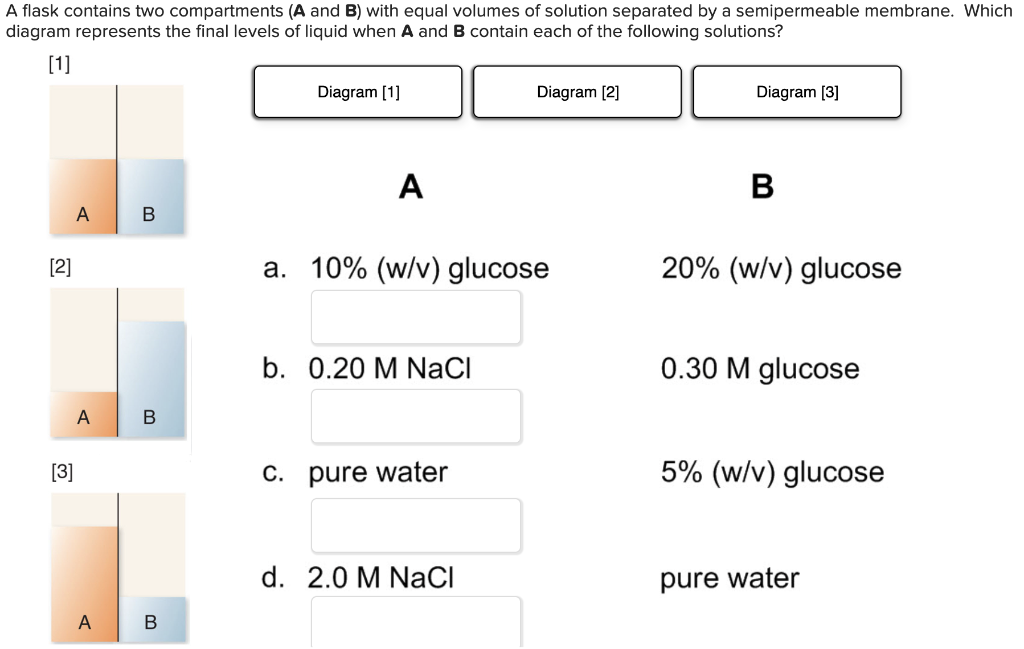 A Flask Contains Two Compartments A And B With Equal Volumes Of Solution Separated By A Semipermeable Membrane Which 1