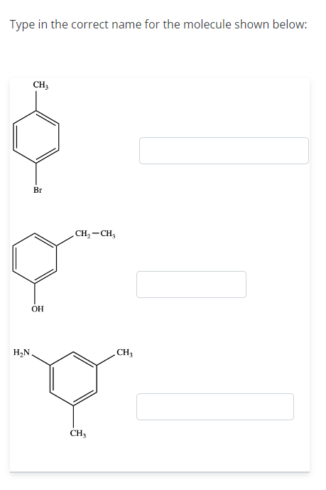 Type In The Correct Name For The Molecule Shown Below Ch3 Br Q Oh H N Ch Ch Q Ch3 Ch 1