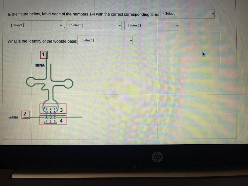 In The Figure Below Label Each Of The Numbers 1 4 With The Correct Corresponding Term Select What Is The Identity Of 1