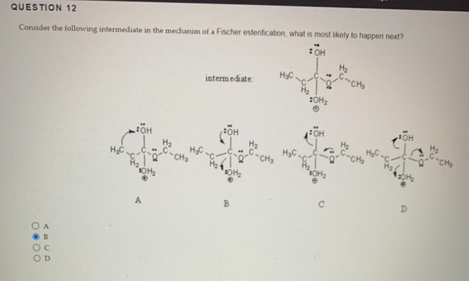 Please Answer These Questions Correctly And Asap Thank You 1