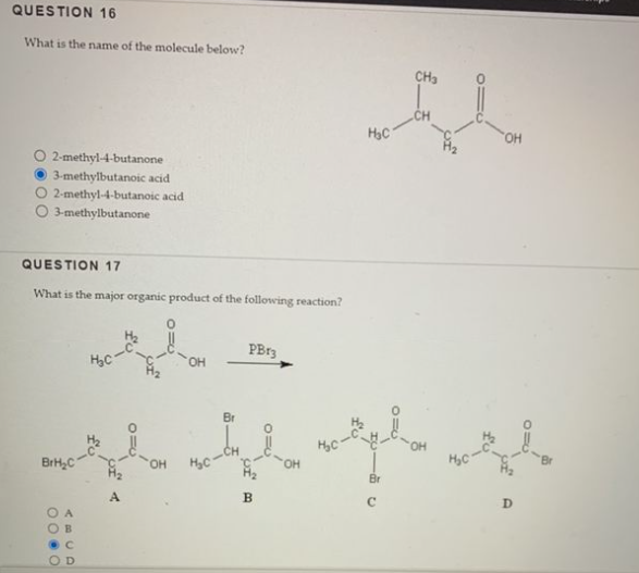 Please Answer These Questions Correctly And Asap Thank You So Much 2