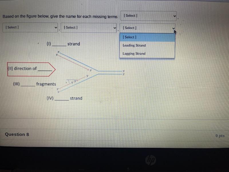 Based On The Figure Below Give The Name For Each Missing Terms Select Ii Direction Of 111 Question 8 1 1