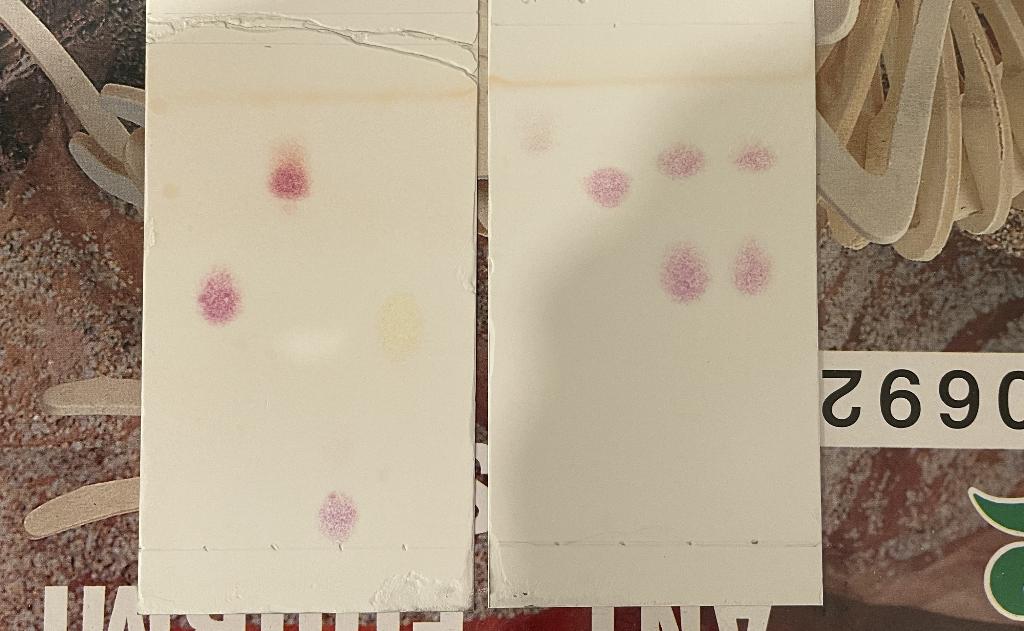 I Conducted This Lab And Have Attached The Results I Tested Six Known Amino Acids And One Unknown Compound Containing A 1