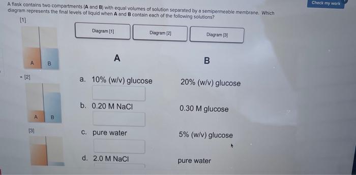 A Flask Contains Two Compartments A And B With Equal Volumes Of Solution Separated By A Semipermeable Membrane Which 1