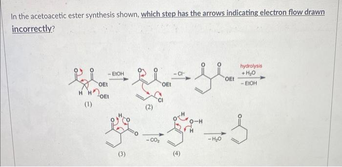 In The Acetoacetic Ester Synthesis Shown Which Step Has The Arrows Indicating Electron Flow Drawn Incorrectly Ci Oet 1