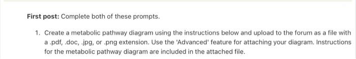 First Post Complete Both Of These Prompts 1 Create A Metabolic Pathway Diagram Using The Instructions Below And Uploa 1