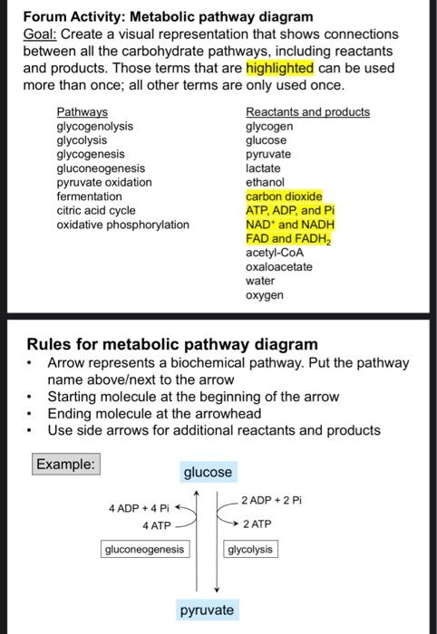 First Post Complete Both Of These Prompts 1 Create A Metabolic Pathway Diagram Using The Instructions Below And Uploa 2