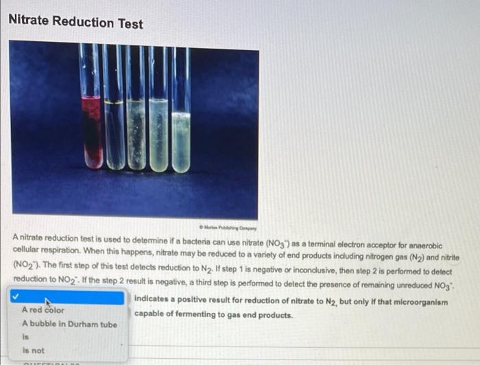 Observe These Completed Oxidase Tests For Two Organisms Which Organism Produces Cytochrome C Oxidase Bd Bbltm Dryslide 2