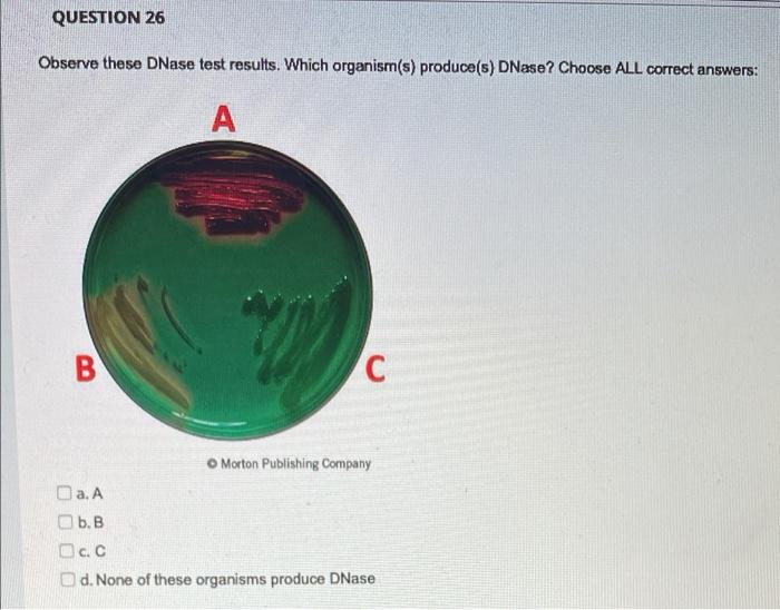 Observe These Completed Oxidase Tests For Two Organisms Which Organism Produces Cytochrome C Oxidase Bd Bbltm Dryslide 4