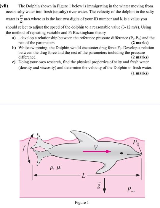 N Vii The Dolphin Shown In Figure 1 Below Is Immigrating In The Winter Moving From Ocean Salty Water Into Fresh Unsal 1