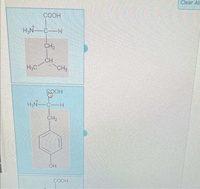 Cooh H N C H H3c Ch Ch Ch3 Gooh H N C H Ch Oh Cooh Clear All Cooh H N C H Ch H C Ch Cooh H N C H Ch Ch Ch Nh H 1