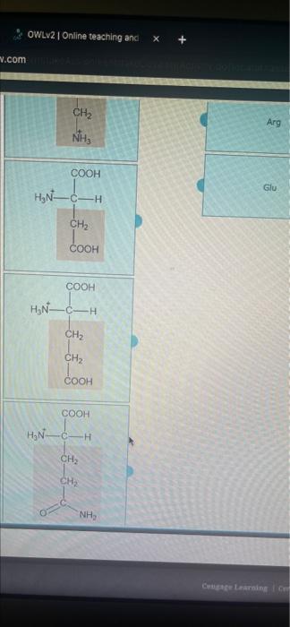 Owlv2 Online Teaching And V Com G Ch Nh Cooh H N C H Ch Cooh Cooh H N C H Ch Ch Cooh Cooh H N C H Ch Ch Nh A 1