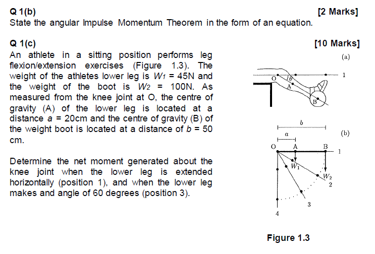 Q 1 B 2 Marks State The Angular Impulse Momentum Theorem In The Form Of An Equation Q 1 C 10 Marks An Athlete In 1