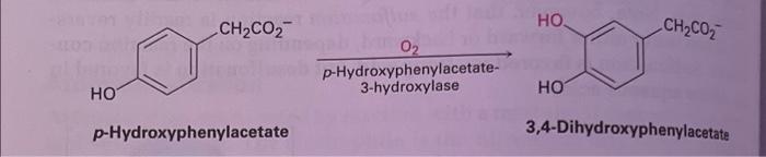 Ho Ch2co2 P Hydroxyphenylacetate 0 P Hydroxyphenylacetate 3 Hydroxylase Ho Ho Ch Co 3 4 Dihydroxyphenylacetate 1