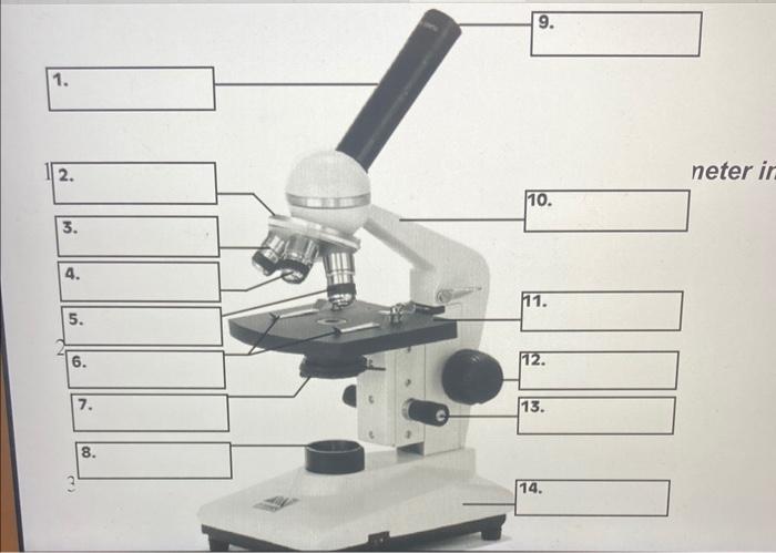 39 What Is The Basis For The Separation Of Molecules By Paper Chromatography 40 Which Of The Following Is The Function 2