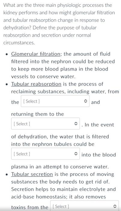 Options To Questions 1 Fiktrate Blood 2 Blood Filtrate 3 Reabsorbe Back Refiltered Out 4 Filtrate Blood 5 Filtrat 1