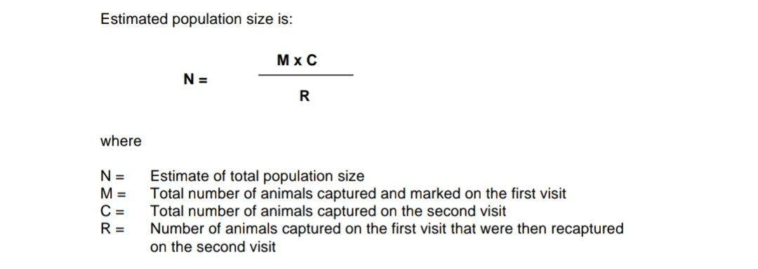 Lab Exercise 3b Indoor Capture Mark Recapture Exercise Research Question How Do Population Estimates Using Mark Recaptu 4