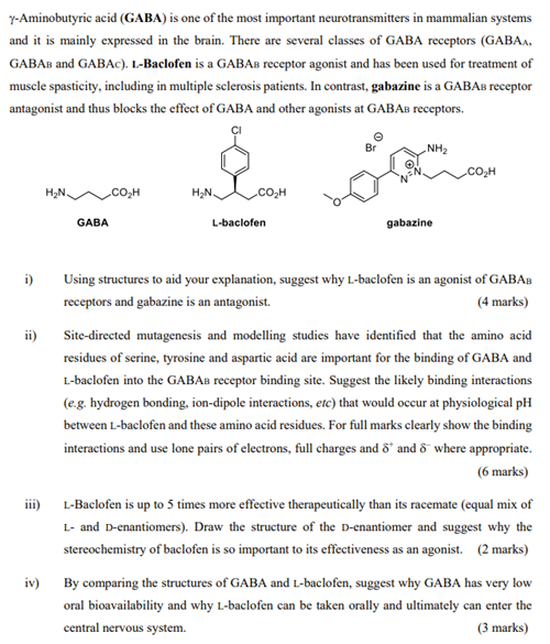 Y Aminobutyric Acid Gaba Is One Of The Most Important Neurotransmitters In Mammalian Systems And It Is Mainly Expresse 1