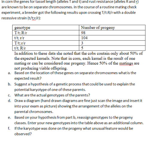In Corn The Genes For Tassel Length Alleles T And T And Rust Resistance Alleles R And R Are Known To Be On Separate 1