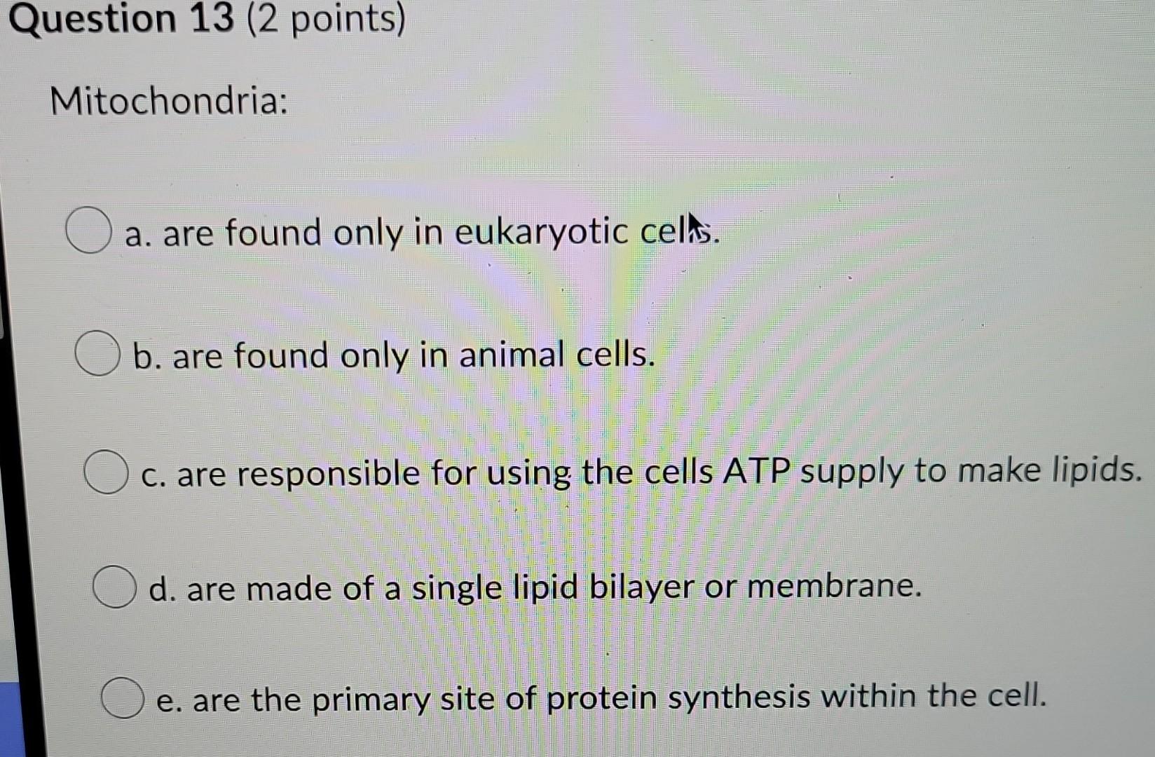 Which Of The Following Statements Is True A Atoms Exist Within Molecules Molecules Exist Within Macromolecules Macro 2