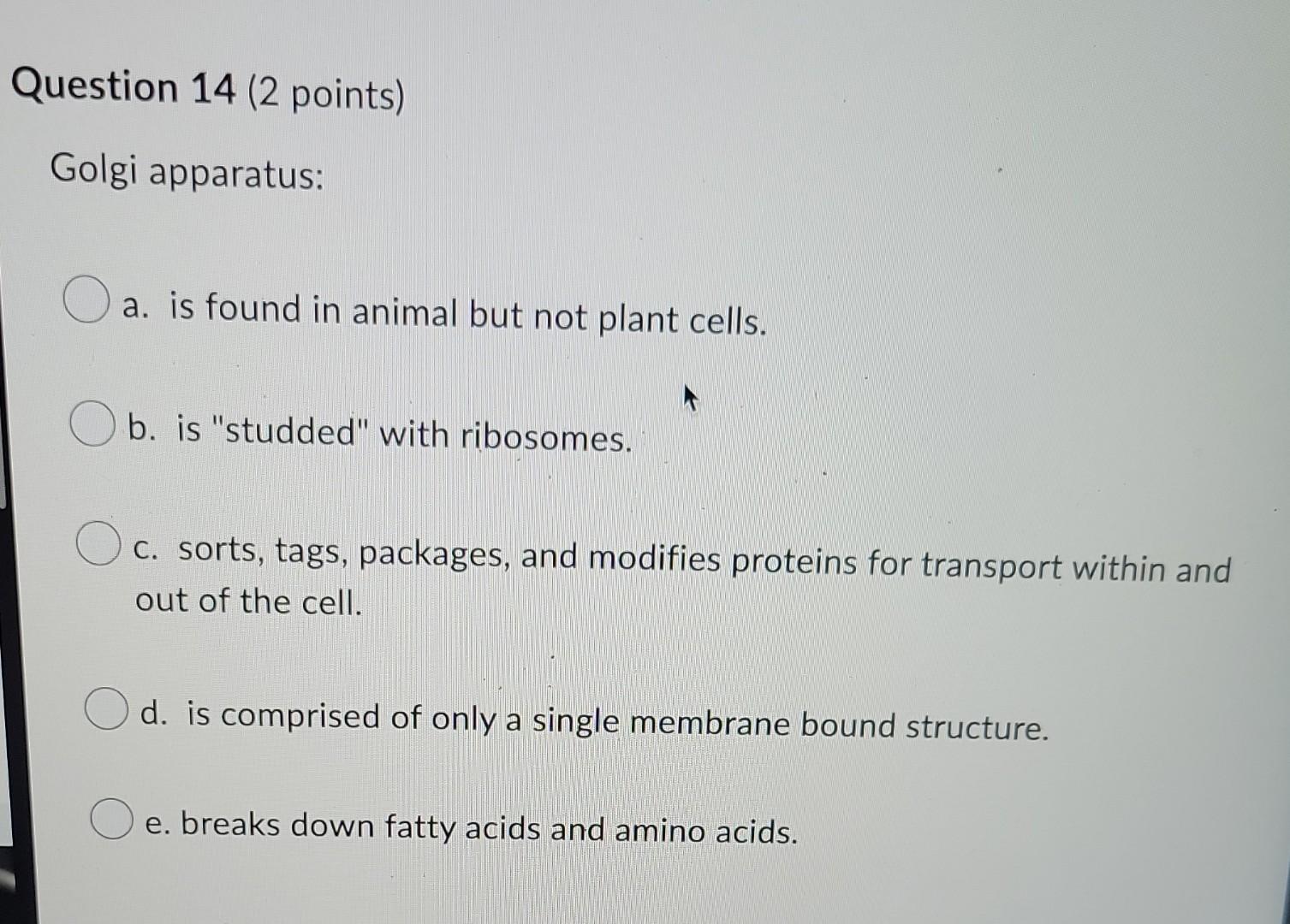 Which Of The Following Statements Is True A Atoms Exist Within Molecules Molecules Exist Within Macromolecules Macro 3