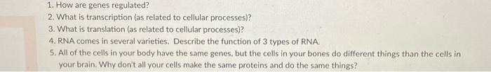 1 How Are Genes Regulated 2 What Is Transcription As Related To Cellular Processes 3 What Is Translation As Rela 1