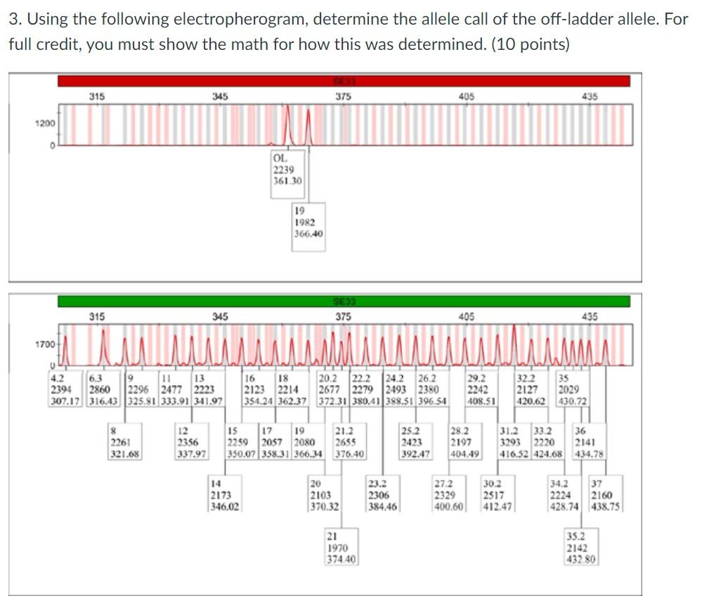 3 Using The Following Electropherogram Determine The Allele Call Of The Off Ladder Allele For Full Credit You Must S 1