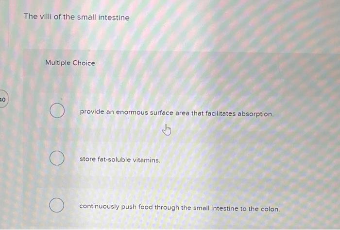 10 The Villi Of The Small Intestine Multiple Choice O O O Provide An Enormous Surface Area That Facilitates Absorption 1