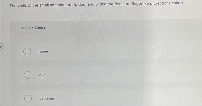 10 The Villi Of The Small Intestine Multiple Choice O O O Provide An Enormous Surface Area That Facilitates Absorption 5