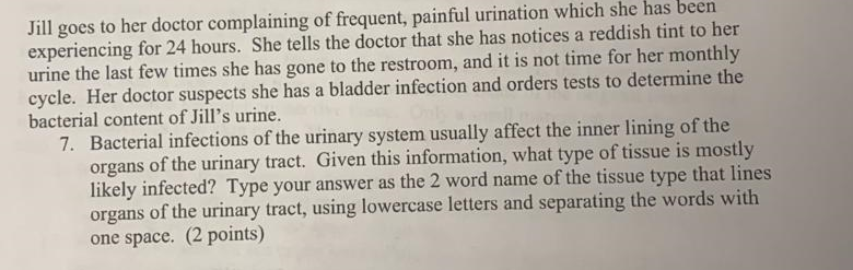 Jill Goes To Her Doctor Complaining Of Frequent Painful Urination Which She Has Been Experiencing For 24 Hours She Tel 1