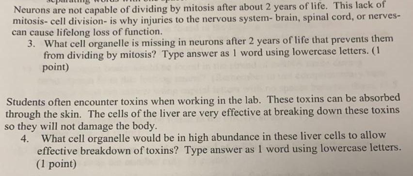 Neurons Are Not Capable Of Dividing By Mitosis After About 2 Years Of Life This Lack Of Mitosis Cell Division Is Why 1