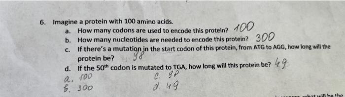 6 Imagine A Protein With 100 Amino Acids A How Many Codons Are Used To Encode This Protein 100 B How Many Nucleotid 1