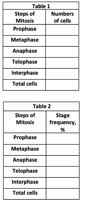 Determine The Relative Frequency Of Each Phase Of Cell Cycle Calculate The Relative Frequency Of Total Cells For Ea 2