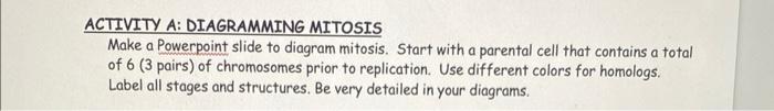 Activity A Diagramming Mitosis Make A Powerpoint Slide To Diagram Mitosis Start With A Parental Cell That Contains A T 1