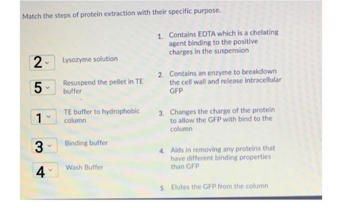 Age 1 N 24 3 Gfp Is Approximately Kd 30 B 42 27 63 Submit Quiz 2 Of 3 Questions Saved Match The Steps Of Pro 2
