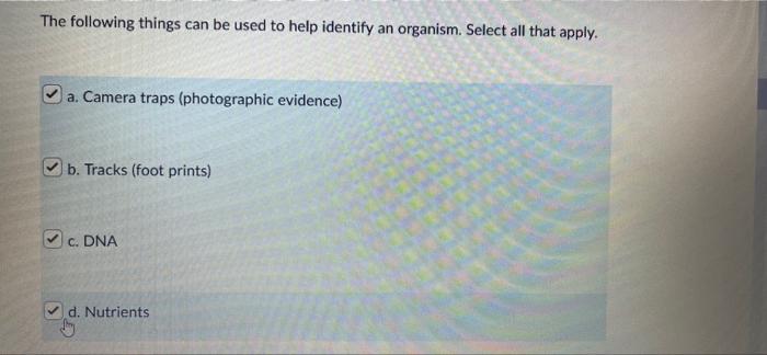 The Following Things Can Be Used To Help Identify An Organism Select All That Apply A Camera Traps Photographic Evid 1