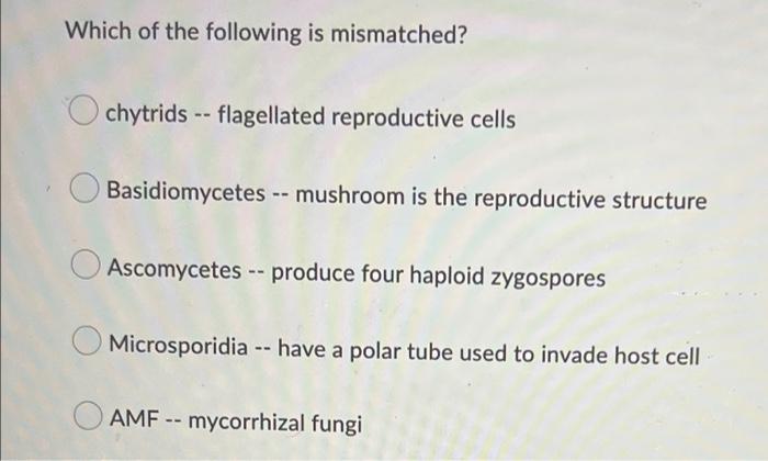 Which Letter In The Phylogenetic Tree Should Be Labeled Seed Free Vascular Plants A B C D M B Vascular Tissue D Flower 2