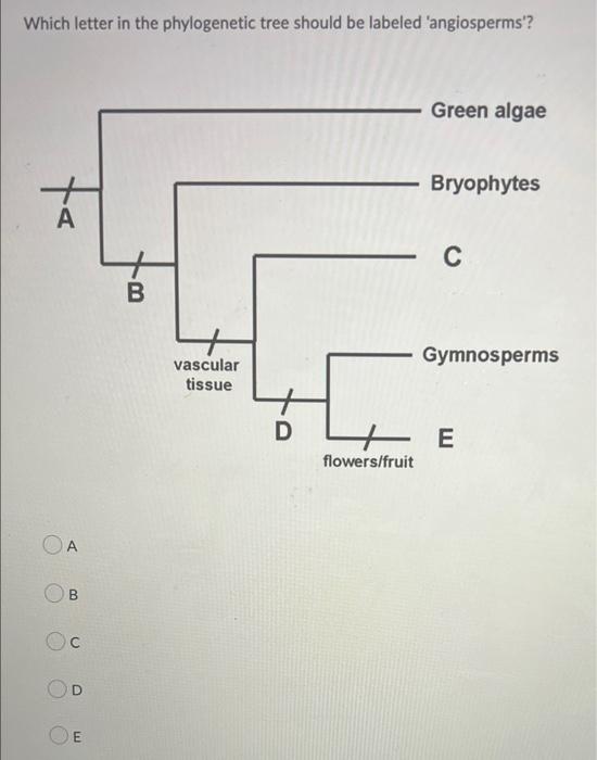 Which Of The Following Is Not True Of Pollinators And Flowering Plants Some Flowers Have Nectar Guides To Bring Pollina 2