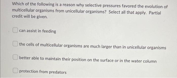 I Need Help 2