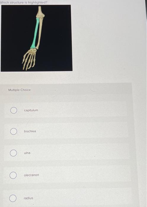 Which Structure Is Highlighted Multiple Choice O Scapula O Humerus Clavicle Glenoid Cavity Greater Tubercle Which Stru 15