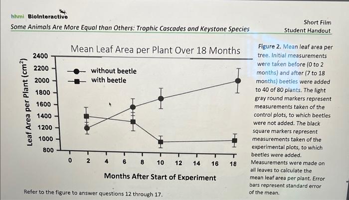 Hhmi Biolnteractive Some Animals Are More Equal Than Others Trophic Cascades And Keystone Species Mean Leaf Area Per Pl 1