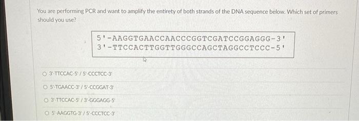 You Are Performing Pcr And Want To Amplify The Entirety Of Both Strands Of The Dna Sequence Below Which Set Of Primers 1