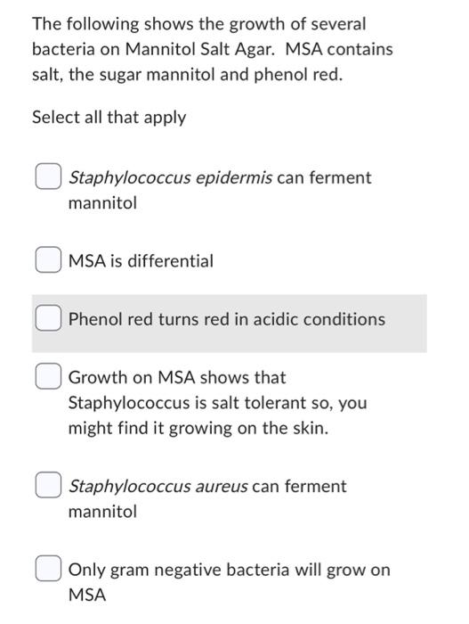 Staphylococcus Aureus Staphylococcus Epidermidis Micrococcus Luteus The Following Shows The Growth Of Several Bacteria 2
