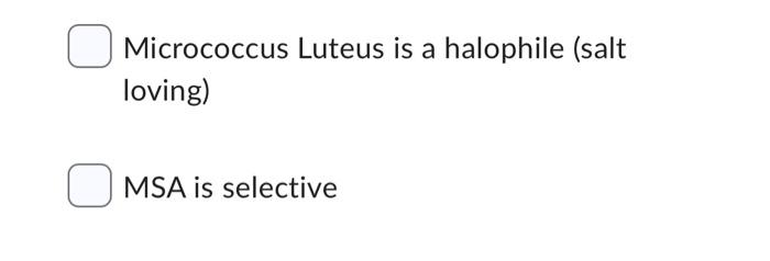 Staphylococcus Aureus Staphylococcus Epidermidis Micrococcus Luteus The Following Shows The Growth Of Several Bacteria 3