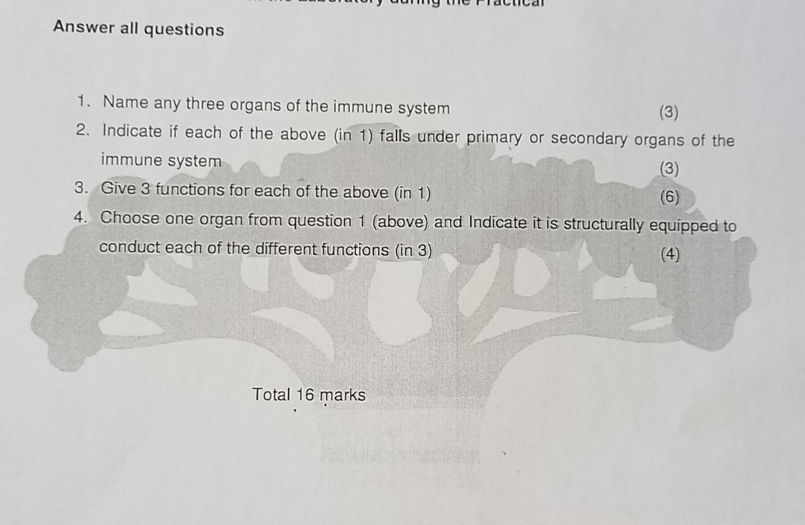 Answer All Questions 1 Name Any Three Organs Of The Immune System 3 2 Indicate If Each Of The Above In 1 Falls Und 1